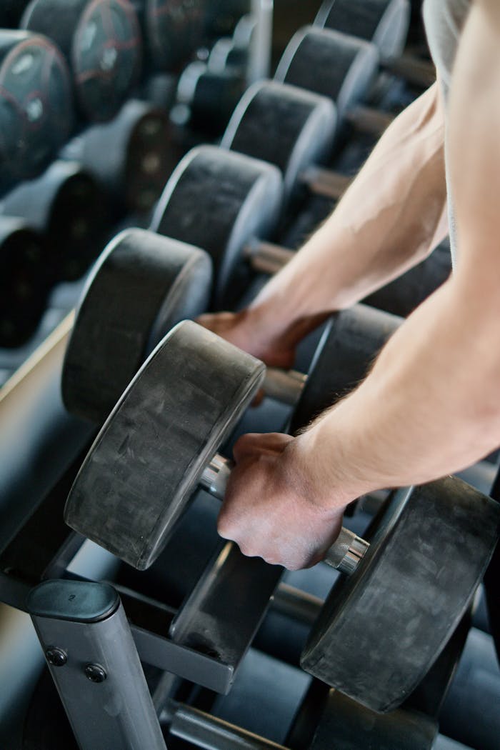services-04 Focused shot of hands holding large dumbbells in a gym setting, showcasing strength workout.